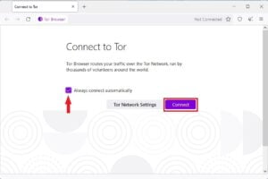 download the last version for windows Tor 12.5.1
