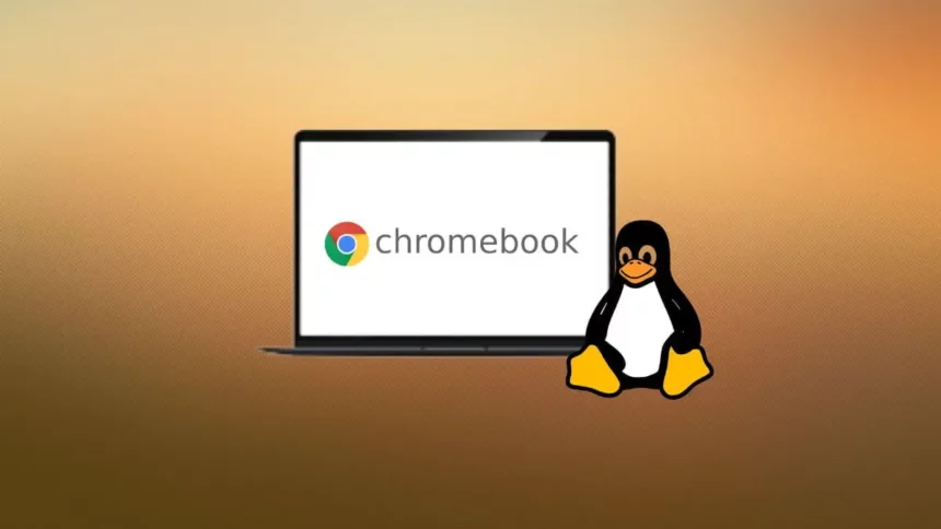 How to Install Linux on Chromebook