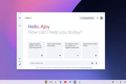 How to Install and Use Gemini on Chromebook